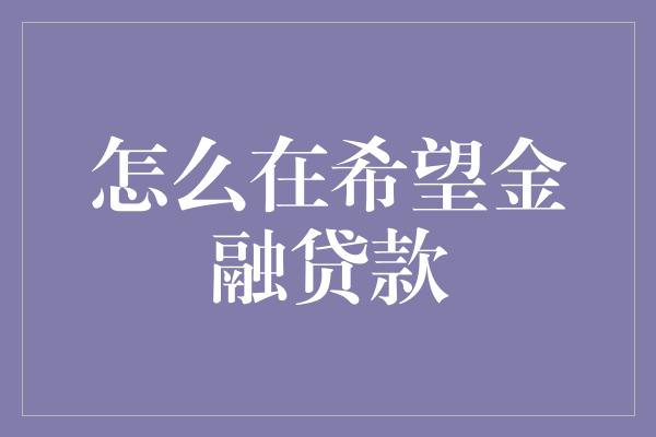 怎么在希望金融贷款