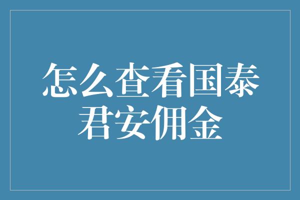 怎么查看国泰君安佣金