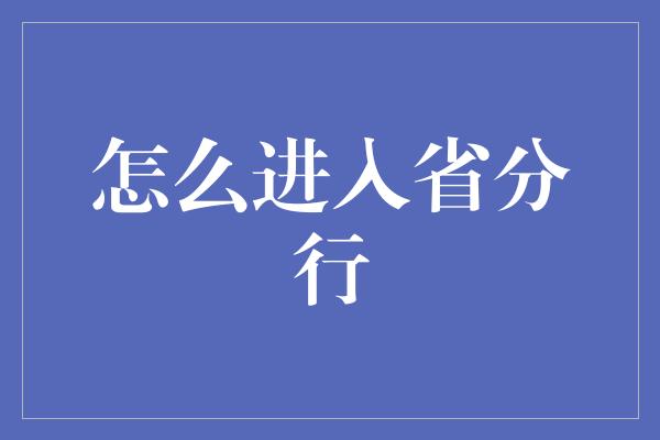 怎么进入省分行