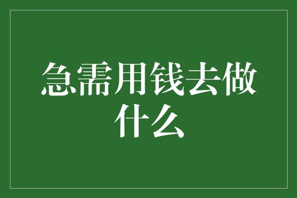 急需用钱去做什么