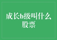 以成长B级股票专项解读：在投资界的独特魅力与风险