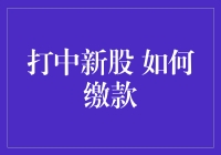 打中新股 如何缴款：操作指南与策略分析