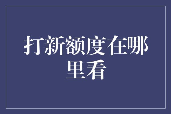 打新额度在哪里看