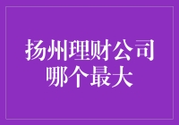 扬州最大理财公司：打造稳健理财新生态