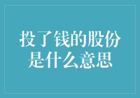 投了钱的股份：理解股东身份与权益