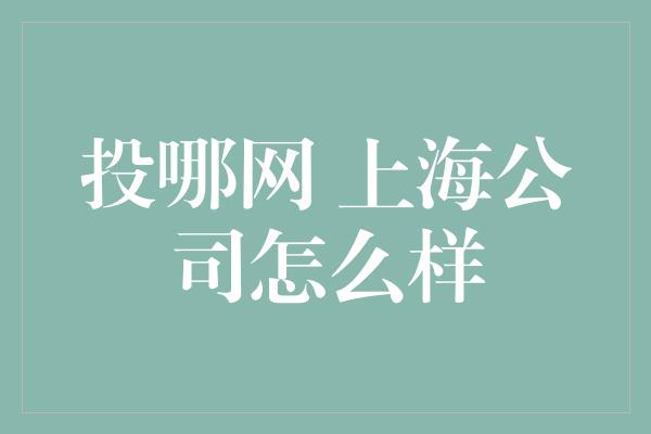 投哪网 上海公司怎么样