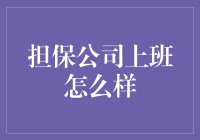 担保公司工作：披荆斩棘的金融守护者