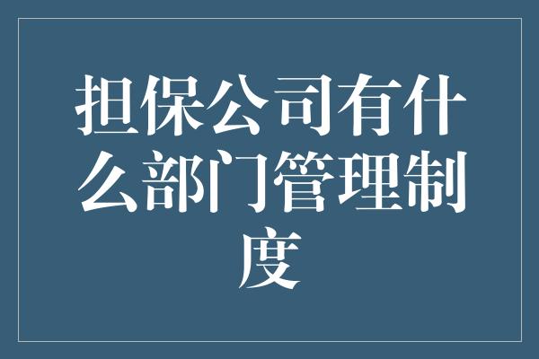 担保公司有什么部门管理制度