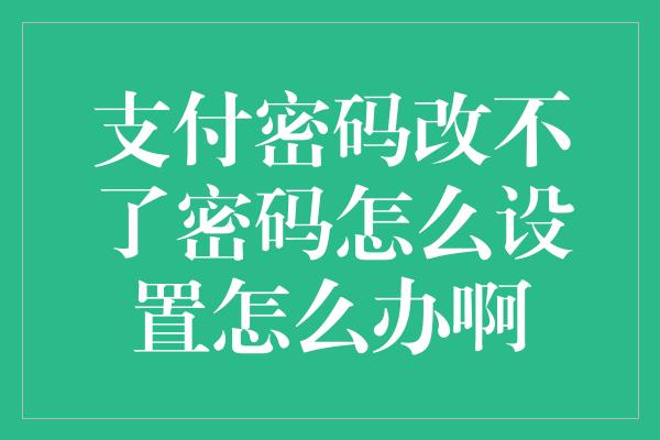 支付密码改不了密码怎么设置怎么办啊