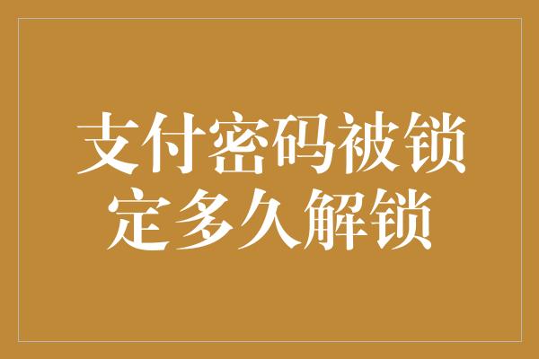 支付密码被锁定多久解锁