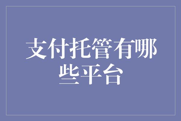 支付托管有哪些平台