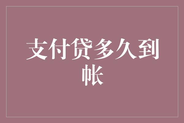 支付贷多久到帐