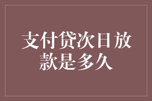 支付贷次日放款是多久