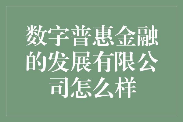 数字普惠金融的发展有限公司怎么样