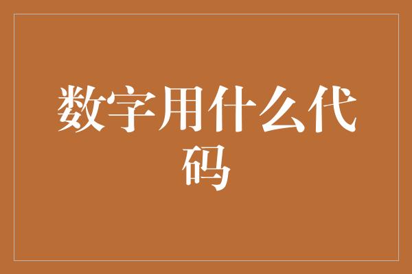 数字用什么代码