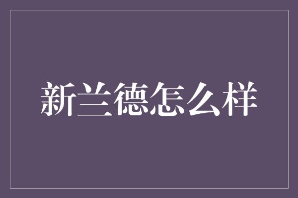 新兰德怎么样