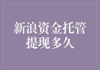 新浪资金托管提现多久？看我如何变成时间管理大师