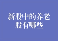 新股中的养老概念股：布局老年经济的机遇与挑战