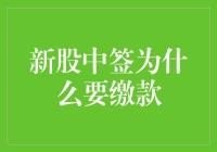 新股中签需缴款：理解背后的金融逻辑与市场运作机制