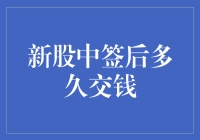 新股中签后多久交钱：理解交款流程的重要性