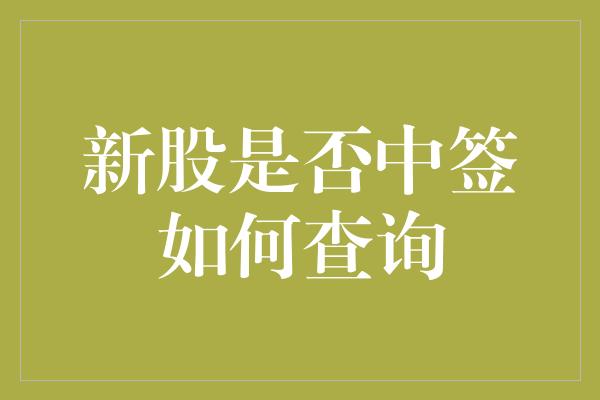 新股是否中签如何查询