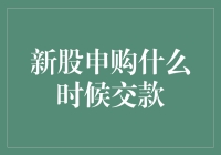 新股申购交款时间解析：掌握关键节点助您把握投资机会