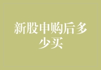 新股申购后：市场行为与投资策略分析