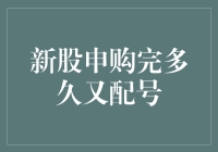 新股申购完多久又配号：解密新股发行背后的机制与规律