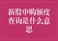 了解新股申购额度查询：揭开资本市场的神秘面纱