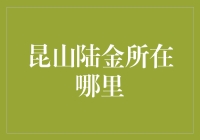 昆山陆金所：创新金融的领航者