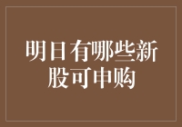 明日新股申购指南：把握市场脉搏，洞悉投资机会