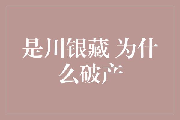 是川银藏 为什么破产