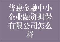 普惠金融中小企业融资担保有限公司：小企业融资的救世主？