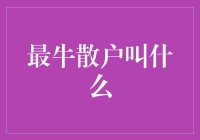 揭秘最牛散户：从新手到大师的成长之路