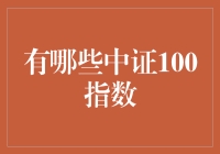 中证100指数：多层次的投资视角