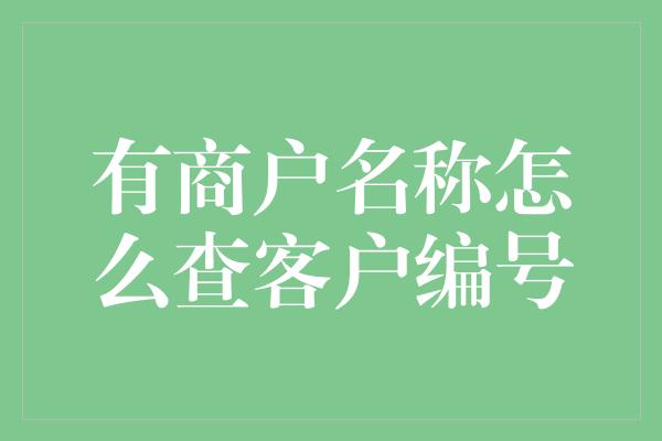 有商户名称怎么查客户编号