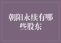 朝阳永续：股东结构与公司治理的深度剖析