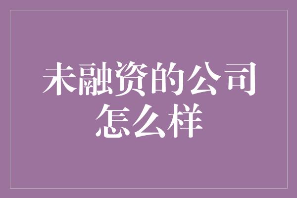 未融资的公司怎么样