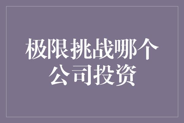 极限挑战哪个公司投资