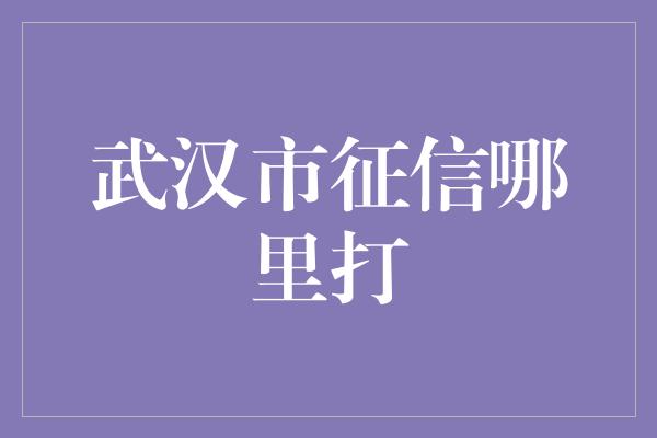 武汉市征信哪里打