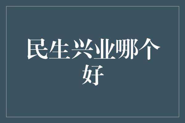 民生兴业哪个好