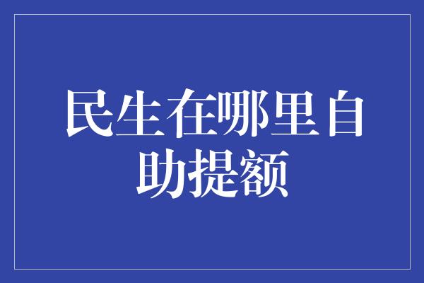 民生在哪里自助提额