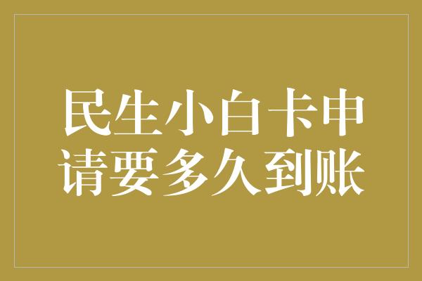 民生小白卡申请要多久到账