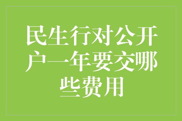 民生行对公开户一年要交哪些费用