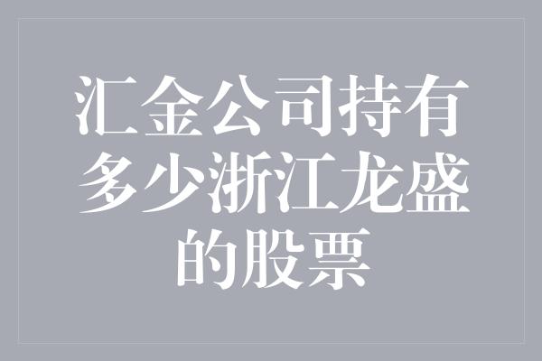 汇金公司持有多少浙江龙盛的股票