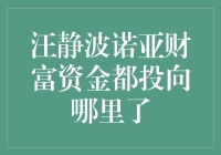 汪静波诺亚财富资金投向：探索高端理财市场的深度解读