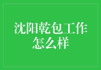 沈阳乾包：是乾包还是骗包？揭秘最新职场谜局