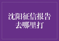 沈阳征信报告获取指南：掌握个人征信查询方法