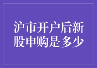 沪市开户后新股申购：规则与操作详解