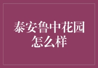 泰安鲁中花园：一不小心成了网红打卡地？